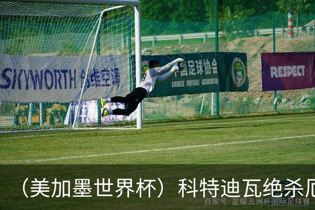 （美加墨世界杯）科特迪瓦绝杀厄瓜多尔 瑞典5:1大胜突尼斯